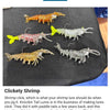 Knockin Shrimp Cracklin With Built-In Tail Rattle