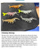 files/shrimpcollection.jpg