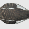Top Down Decoys® SBS1 Specklebelly-Snow