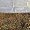 The Canopy – Waterproof 11' Hammock Tarp