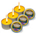 files/the-outdoor-candle-citronella-470525.jpg