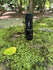 files/thumbnail_IMG_0718_2_4e327ecd-a069-4110-9f9b-1cd75d5044a9_44992098992368.jpg