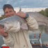 files/tournament-series-casting-rod-1691920.jpg