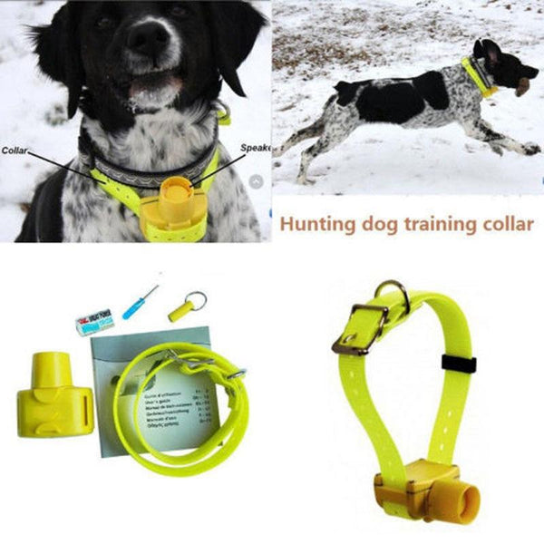 Hunting Dog Beeper Collars Waterproof Dog Training Collar 8 built-in Beeper Sound Dog Beeper Sports Training Hunting Pet Collar - HuntPost Marketplace